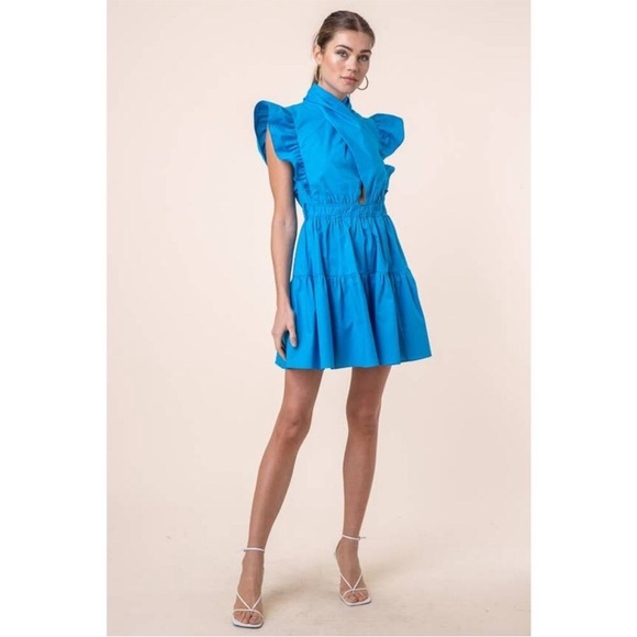 Line & Dot Blue Ruffle Mini Dress - Picture 3 of 10